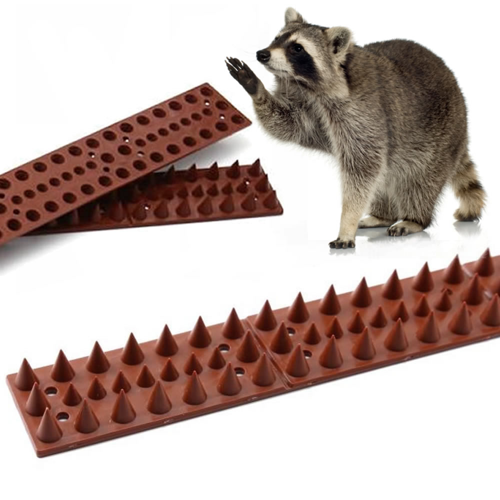 best raccoon spikes