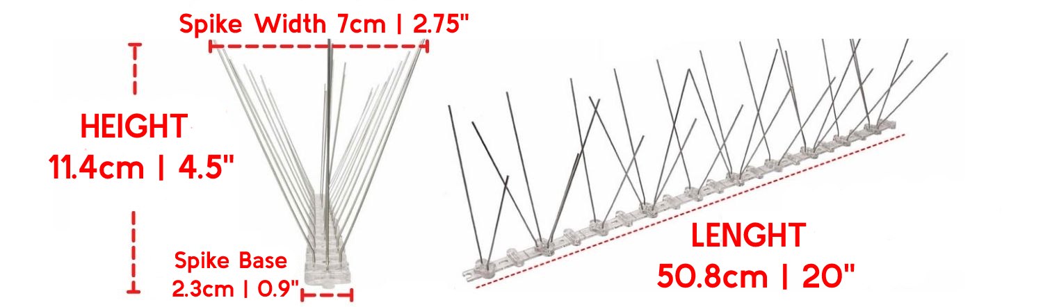 where to buy stainless anti bird spikes online