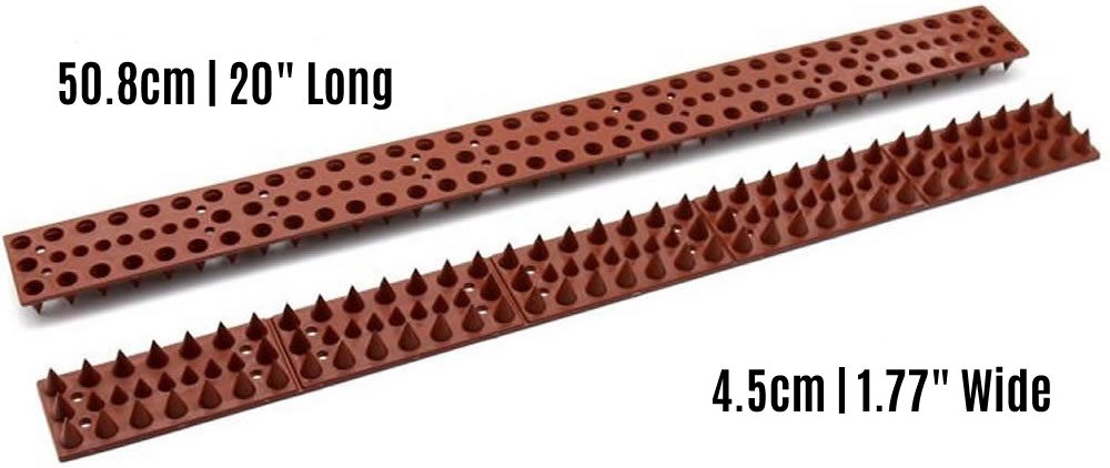 where to buy squirrel spike strips